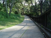 DSC08200.JPG